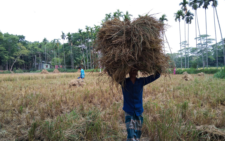 ধ ন ঘর ত ল য ব যস ত দক ষ ণ ঞ চল র ক ষকর