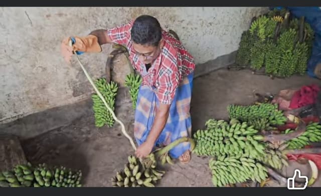 শ্রীমঙ্গলে নতুন বাজারে সবুজ ফণিমনসা সাপের হঠাৎ আগমন, উদ্বারে আতঙ্ক কমেছে