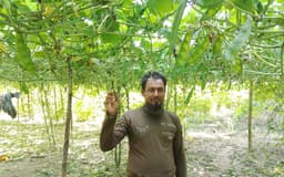 ২০ শতাংশ জমিতে কেরালা শিম চাষে দেড় লাখ টাকা লাভের স্বপ্ন