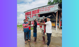 পদ্মায় ধরা পড়লো ৫০ কেজির বাঘাইড়, বিক্রি ৮০ হাজারে