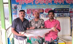 পদ্মার ২৬ কেজির এক পাঙ্গাশ ৬৮ হাজারে বিক্রি 