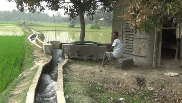 নবাবগঞ্জে বিএডিসির সেচে অতিরিক্ত অর্থ আদায়ের অভিযোগ, বিপাকে বোরো চাষিরা