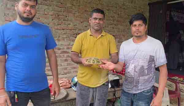 কমলগঞ্জে বিলুপ্তপ্রায় সুন্ধি কাছিম উদ্ধার