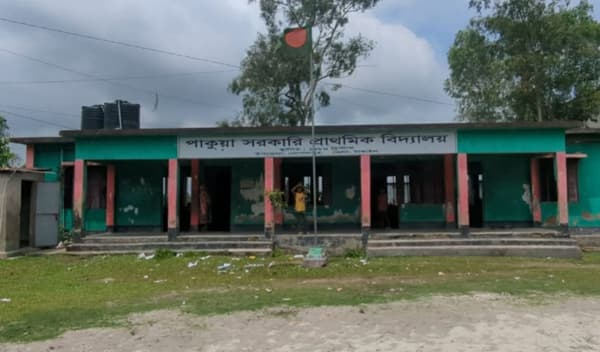 জরাজীর্ণ ভবনে পাঠদান, আতঙ্কে টাঙ্গাইলের পাকুয়া স্কুলশিক্ষার্থীরা