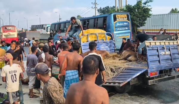 কালিয়াকৈরে গরুবাহী ট্রাকের ধাক্কায় নিহত ২, আহত ৩