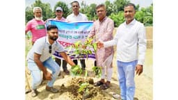 ধামইরহাটে চার পুকুরে সবুজ অভিযানের সূচনা