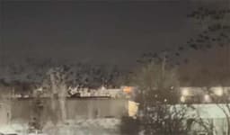 তেল আবিবের আকাশে কালো কাকের ঝাঁক, ইতিহাস বলছে মহাপ্রলয়ের পূর্বাভাস !