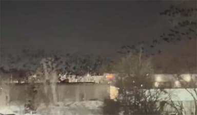 তেল আবিবের আকাশে কালো কাকের ঝাঁক, ইতিহাস বলছে মহাপ্রলয়ের পূর্বাভাস !