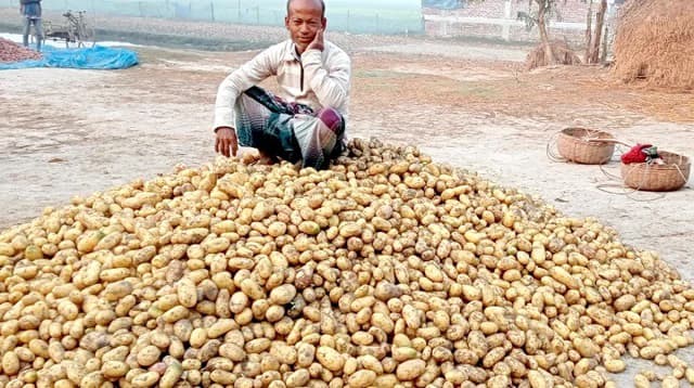 মৌলভীবাজারে হিমাগার না থাকায় নষ্ট হচ্ছে বিপুল খাদ্যশস্য