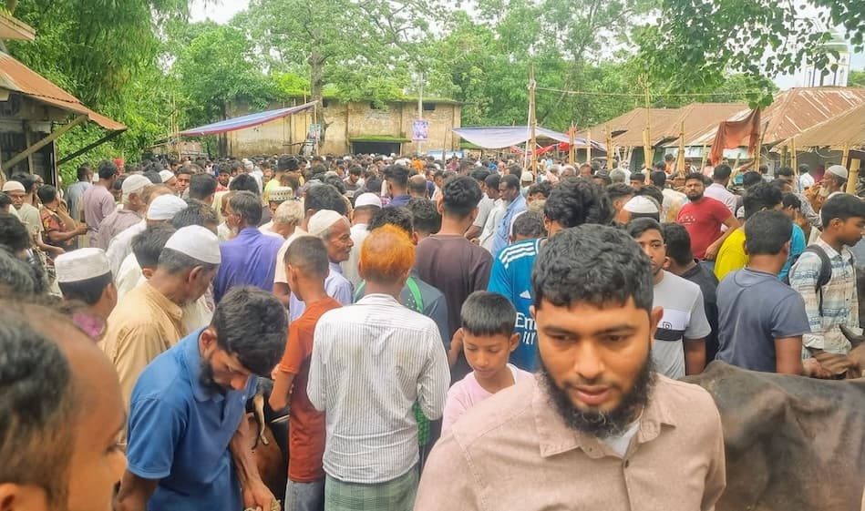 সড়ক দখল করে পশুর হাট, দুর্ভোগে যাত্রী ও চালক