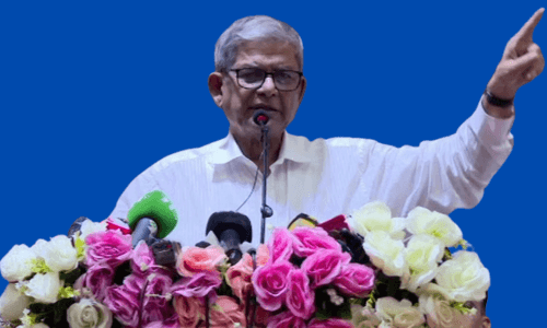 দেশকে রক্ষা করতে একমাত্র বিএনপি ছাড়া কেউ পারবেনা- মির্জা ফখরুল