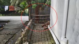 বাড়ির প্রবেশপথে বিএনপি নেতার বাঁশ-টিনের বেড়া, অবরুদ্ধ পরিবার