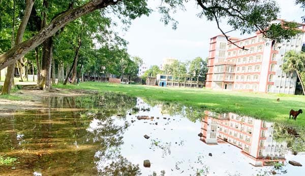 দেবীদ্বার কলেজ মাঠের অবহেলা, জলাবদ্ধতা আর অব্যবস্থাপনায় বন্ধ খেলাধুলা