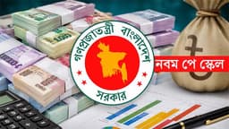 পে-স্কেল বাস্তবায়নে সফটওয়্যার জটিলতা, নতুন হিসাব সরকারের