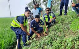 বজ্রপাত প্রতিরোধ ও পরিবেশ রক্ষায় ঝিনাইদহ হাইওয়ে পুলিশের তাল গাছ রোপণ