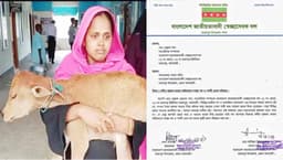 গরু কান্ড: সেই স্বেচ্ছাসেবক দল নেতা স্থায়ী বহিষ্কার