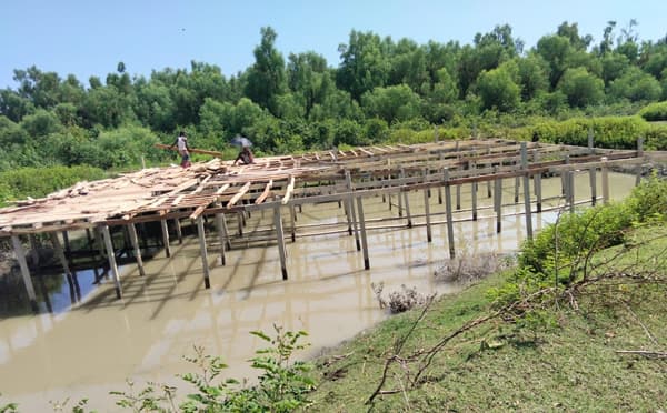 গঙ্গামতিতে ম্যানগ্রোভ বন ঘেঁষে স্থাপনা, হুমকিতে লেক