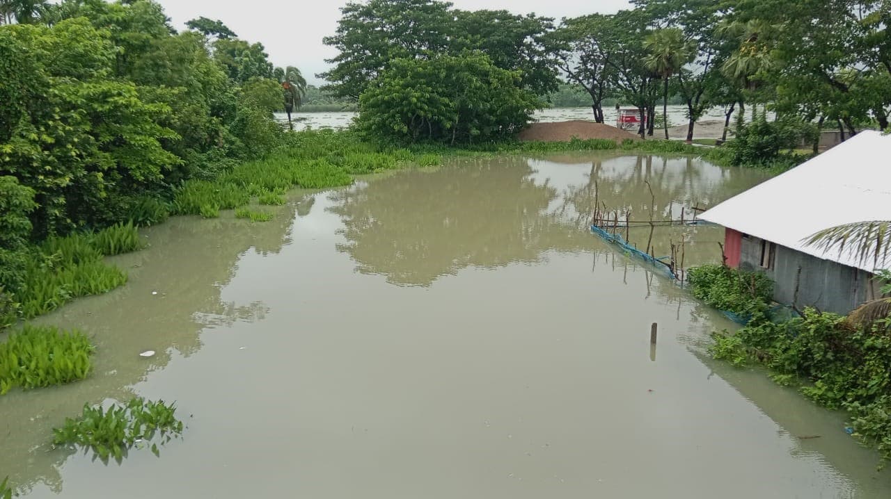 নদী ফুলে ফেঁপে উঠেছে, পিরোজপুরের নিচু এলাকা পানিতে ডুবছে