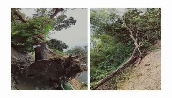 মৌলভীবাজারে ঝড়ের তাণ্ডবে ভেঙেছে খুঁটি, ছিঁড়েছে শতাধিক বিদ্যুৎ লাইন