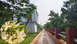 ‘শান্তিবাগ ওয়াকওয়ে’ ফুটছে নানা রঙের দুুষ্প্রাপ্য ফুল, মুগ্ধ দর্শনার্থীরা