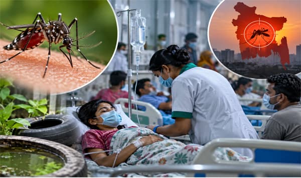 সেপ্টেম্বরেই ডেঙ্গুতে ৫২ মৃত্যু, বাড়ছে হাসপাতালে চাপ