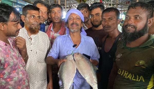 নোয়াখালীতে ২ ইলিশ বিক্রি হলো সাড়ে ১১ হাজার টাকায়