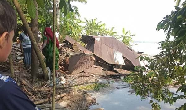 সন্ধ্যা নদীর ভাঙনে বানারীপাড়ায় বসতঘর–জমি বিলীন, অসহায় পরিবার