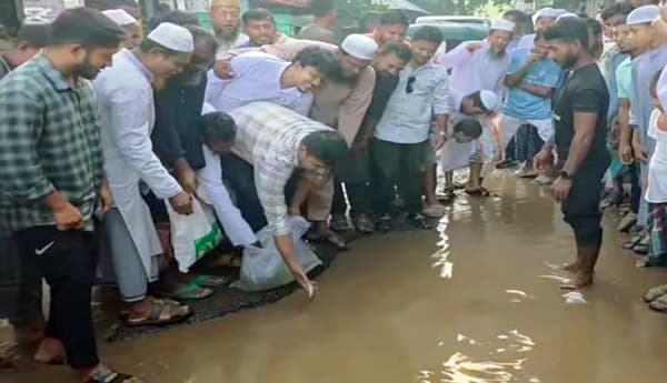 হাসনাত আব্দুল্লার মাছ চাষে মিলল সাড়ে ১২ কোটি টাকা সংস্কার বরাদ্দ 