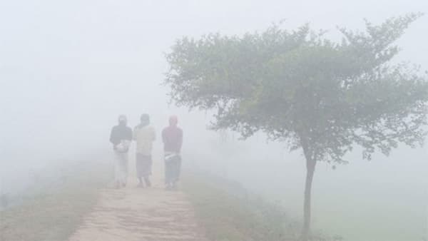 তেঁতুলিয়ায় ঘন কুয়াশায় বেড়েছে শীতের তীব্রতা