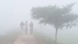 তেঁতুলিয়ায় ঘন কুয়াশায় বেড়েছে শীতের তীব্রতা