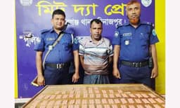 ৭০০ ট্যাপেন্টাডলসহ নবাবগঞ্জে ব্যবসায়ী গ্রেপ্তার