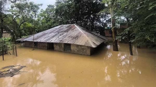সাত জেলায় ভয়াবহ বন্যায় মৃতের সংখ্যা বেড়ে চুয়াল্লিশ