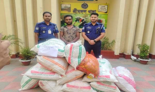 শ্রীমঙ্গলে ৫১৬ কেজি ভারতীয় ফুচকা জব্দ, গ্রেফতার-১