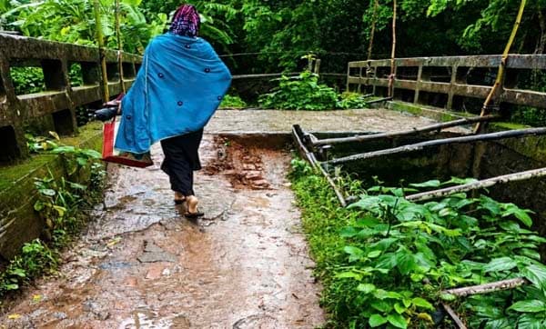 নেছারাবাদে ভাঙনে বিলীন রাজাবাড়ি-জিলবাড়ি সড়ক, দুর্ভোগে পাঁচ গ্রামের বাসিন্দারা
