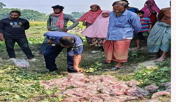 বদলগাছীতে ব্রিজের নিচে রহস্যময় মাংস প্যাকেট উদ্ধার