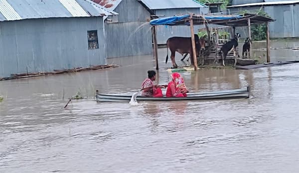 দৌলতপুরে ৪৬ হাজার পরিবার পানিবন্দি, বিপন্ন কৃষক পরিবার