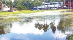 আত্রাইয়ে জলাবদ্ধতায় যুবদের মাঠ এখন মশার আড্ডা