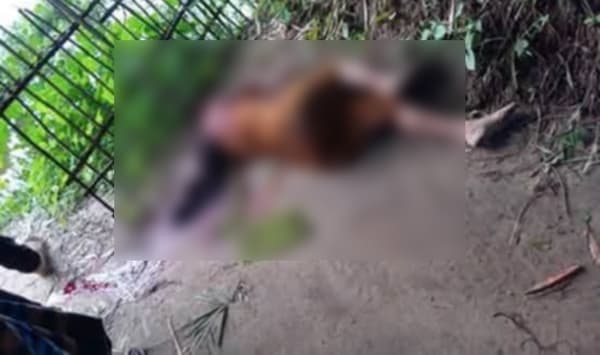 কমলগঞ্জে জমি বিরোধে চাচা-চাচীর দা হামলা: দুই ভাতিজি নিহত