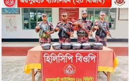হিলি সীমান্তে বিপুল ভারতীয় ইনজেকশন জব্দ করল বিজিবি