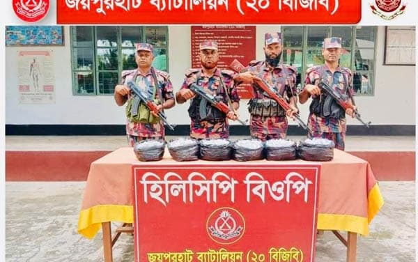 হিলি সীমান্তে বিপুল ভারতীয় ইনজেকশন জব্দ করল বিজিবি