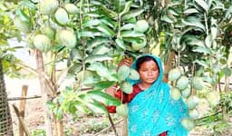 লক্ষ্মীর পরিশ্রমে আশ্রয়ণের ঘর হয়েছে স্বপ্নবাগান