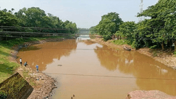ভারতীয় বিষটোপে জুড়ী নদীর পানি দূষিত, হুমকিতে হাকালুকি হাওর