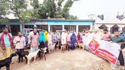 দেবীদ্বারে বন্যা-পরবর্তী ৪০ পরিবারকে জামায়াতের ছাগল উপহার 