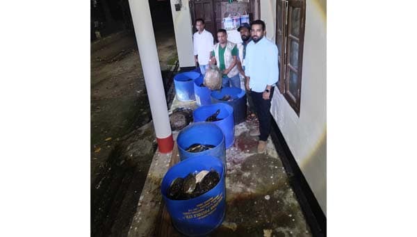 বেগমগঞ্জে পাচারের পথে ৪২৫ কচ্ছপ উদ্ধার