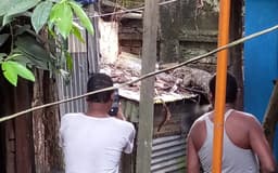হাতিয়ায় কুমিরের গুজবে তোলপাড়, যা জানা গেল