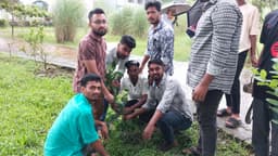 রাজাপুর সরকারি কলেজে ছাত্রদলের শিক্ষা উপকরণ বিতরণ ও বৃক্ষরোপণ কর্মসূচি