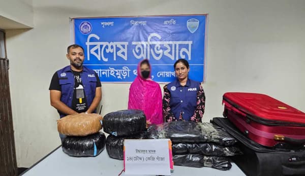 সোনাইমুড়ীতে গাঁজার গন্ধে ধরা খেল তরুণী, ১৪ কেজি গাঁজা উদ্ধার