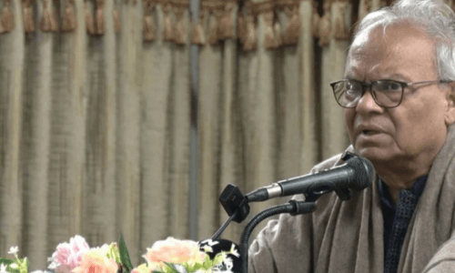 সীমান্ত হত্যা বন্ধে দিল্লির প্রতি রিজভীর আহ্বান