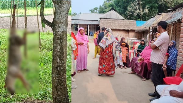 ধনতলা সীমান্তে শেয়ালের কামড়ে নারীর মৃত্যু, আতঙ্কে গ্রামবাসী