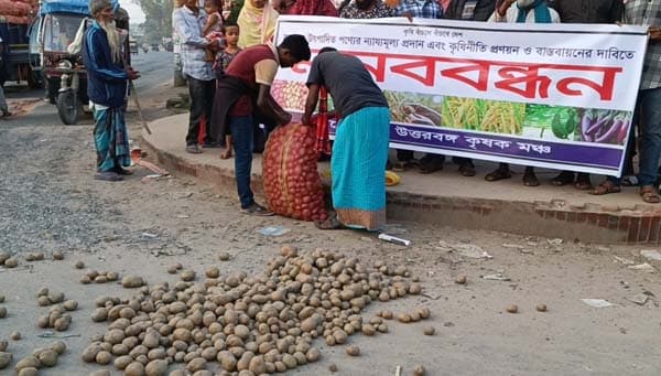 বিরামপুরে রাস্তায় আলু ফেলে কৃষকের প্রতীকী প্রতিবাদ